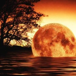 Apocalypse - Moon In Water