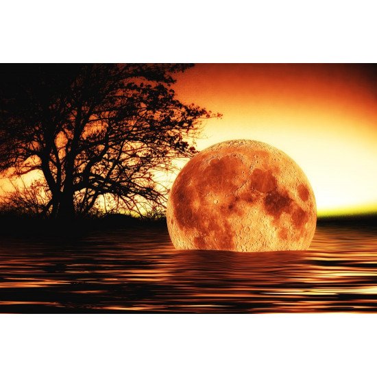 Apocalypse - Moon In Water