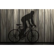 Shadow Cycling Shadow Cycling