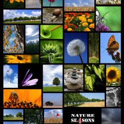 Nature's 4 Season