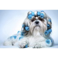 Just Cute -  Dog Makeup Just Cute -  Dog Makeup