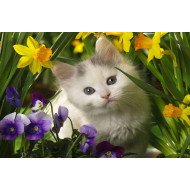 Just Cute - White Cat With Flowers Just Cute - White Cat With Flowers