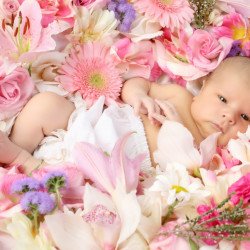 Child's Love - Baby Sleeping With Pink Flowers Child's Love - Baby Sleeping With Pink Flowers