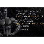 Motivational Quote 13 Motivational Quote 13