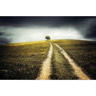 Beautiful Nature Beautiful Nature