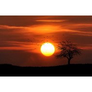 Beautiful Sunset 2 Beautiful Sunset 2