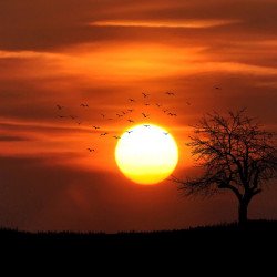 Beautiful Sunset 2 Beautiful Sunset 2