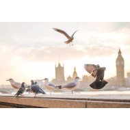 Beautiful London Beautiful London