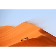 Beautiful Desert Beautiful Desert