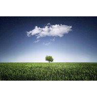 Beautiful Nature 3 Beautiful Nature 3