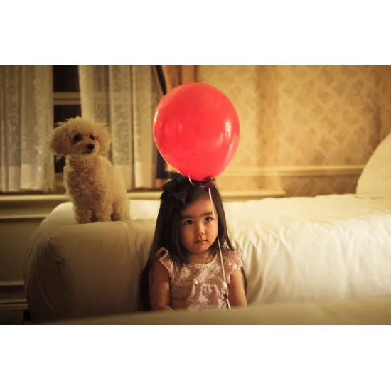 Child's Love - Cute Little Girl With Puppy