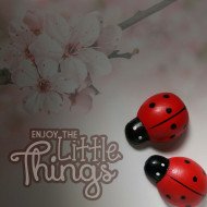 Enjoy The Little Things Enjoy The Little Things