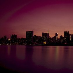Violet New York City Violet New York City