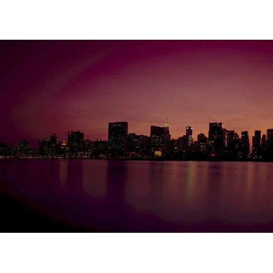 Violet New York City