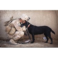 Caring Soldier Caring Soldier