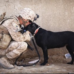 Caring Soldier Caring Soldier