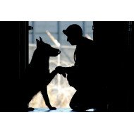 Caring Soldier 1 Caring Soldier 1