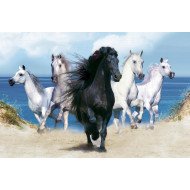 Running Horses 3 Running Horses 3