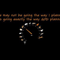 Motivational Quote 20