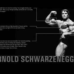 Motivational Quote 23