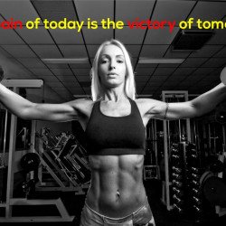 Gym Motivational Quote 2 Gym Motivational Quote 2