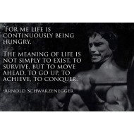 Arnold Schwarzenegger Motivational Quote 2 Arnold Schwarzenegger Motivational Quote 2