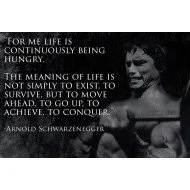 Arnold Schwarzenegger Motivational Quote 2