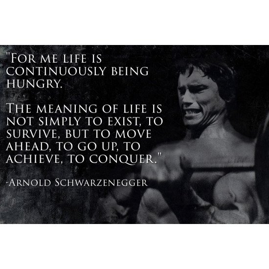 Arnold Schwarzenegger Motivational Quote 2