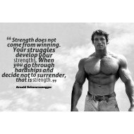 Arnold Schwarzenegger Motivational Quote 3 Arnold Schwarzenegger Motivational Quote 3