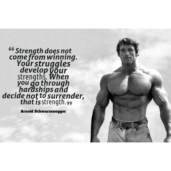 Arnold Schwarzenegger Motivational Quote 3