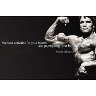 Arnold Schwarzenegger Motivational Quote Arnold Schwarzenegger Motivational Quote