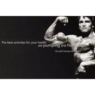 Arnold Schwarzenegger Motivational Quote