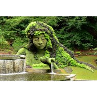 Beautiful Atlanta Botanical Garden Beautiful Atlanta Botanical Garden