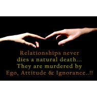 Beautiful Relationship Beautiful Relationship