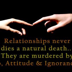 Beautiful Relationship Beautiful Relationship