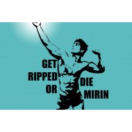 Gym Motivational Quote 6 Gym Motivational Quote 6