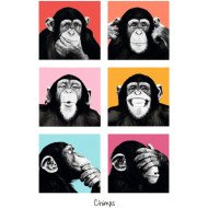 Chimps Chimps
