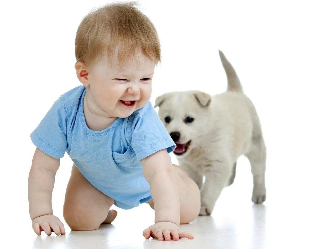 Child's Love - Cute Baby Playing With Puppy