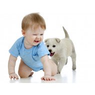 Child's Love - Cute Baby Playing With Puppy Child's Love - Cute Baby Playing With Puppy