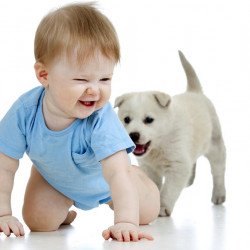 Child's Love - Cute Baby Playing With Puppy Child's Love - Cute Baby Playing With Puppy