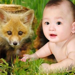 Child's Love - Cute Baby 69 Child's Love - Cute Baby 69