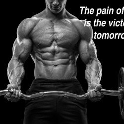 The Pain Of Today Is The Victory Of Tomorrow The Pain Of Today Is The Victory Of Tomorrow