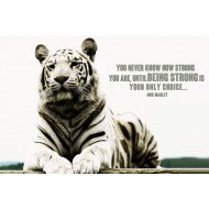 Bob Marley Motivational Quote Bob Marley Motivational Quote
