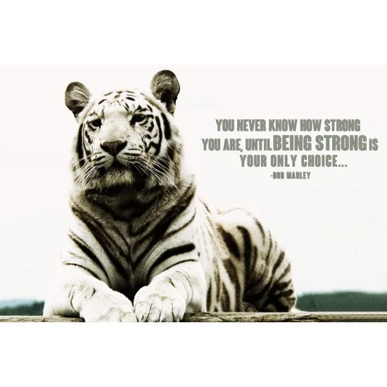 Motivational Quote 33 Motivational Quote 33