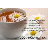 Good Morning Dear Good Morning Dear