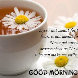 Good Morning Dear Good Morning Dear