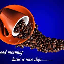 Good Morning Quote Good Morning Quote