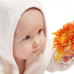 Child's Love - Cute Baby Playing With Sunflower Child's Love - Cute Baby Playing With Sunflower
