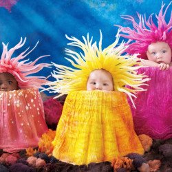 Child's Love - Babies In The Aquarium Child's Love - Babies In The Aquarium