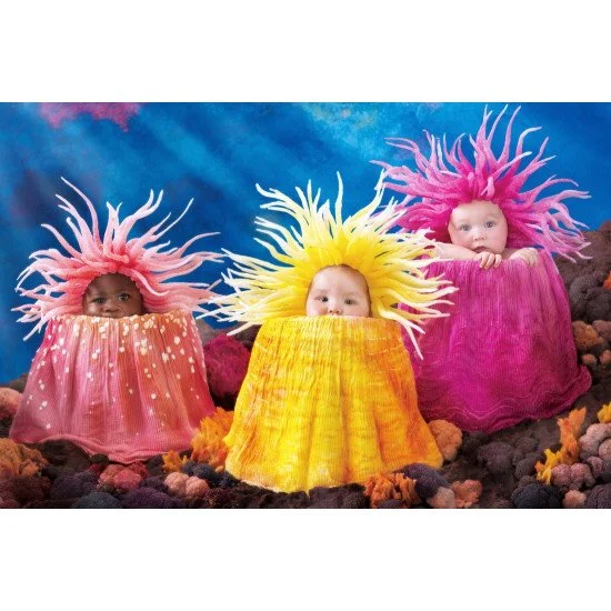 Child's Love - Babies In The Aquarium